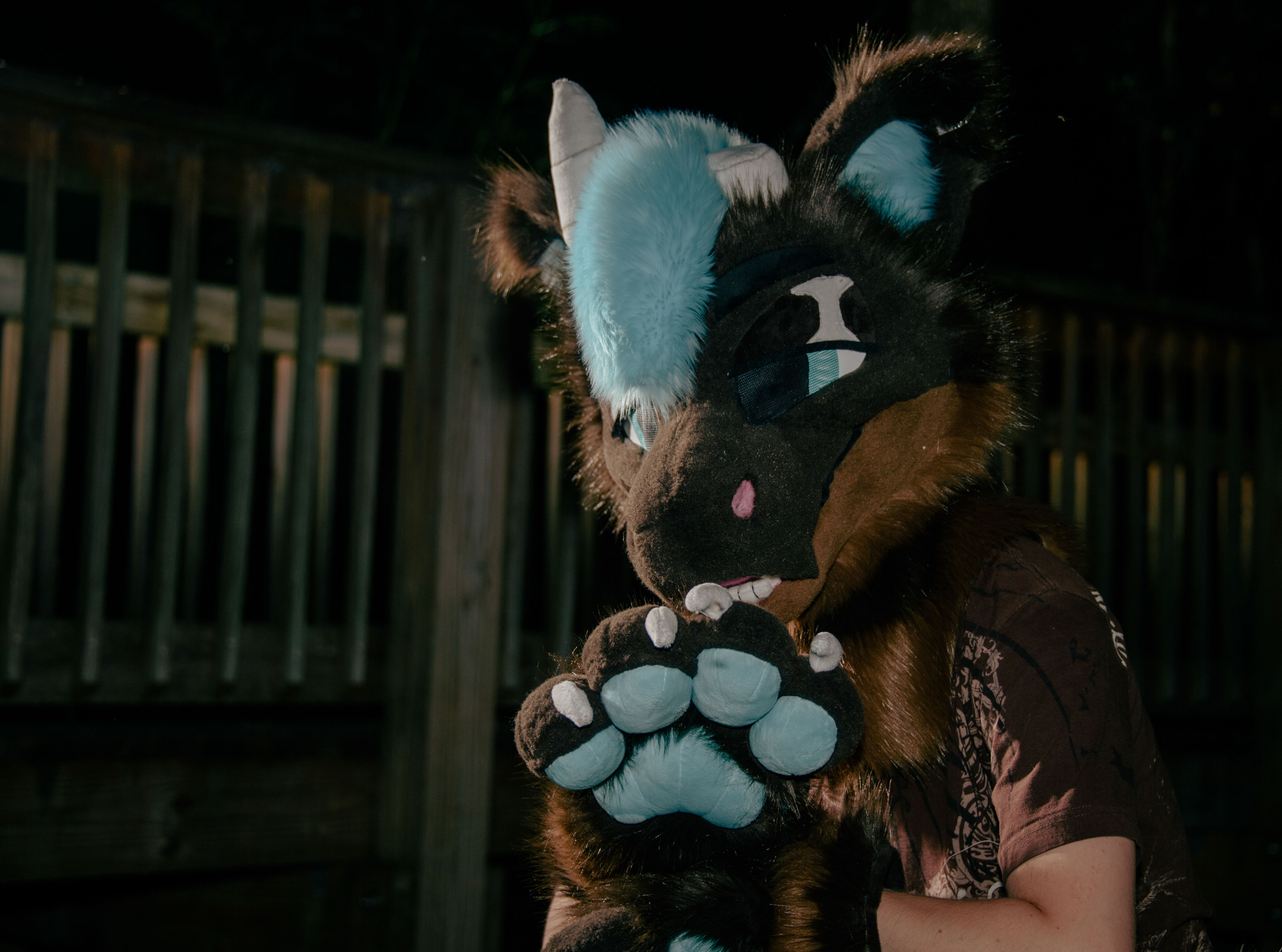 Someone in a brown and blue fursuit in front of a dark, forested background. The railing of a bridge is visible in the background as well.