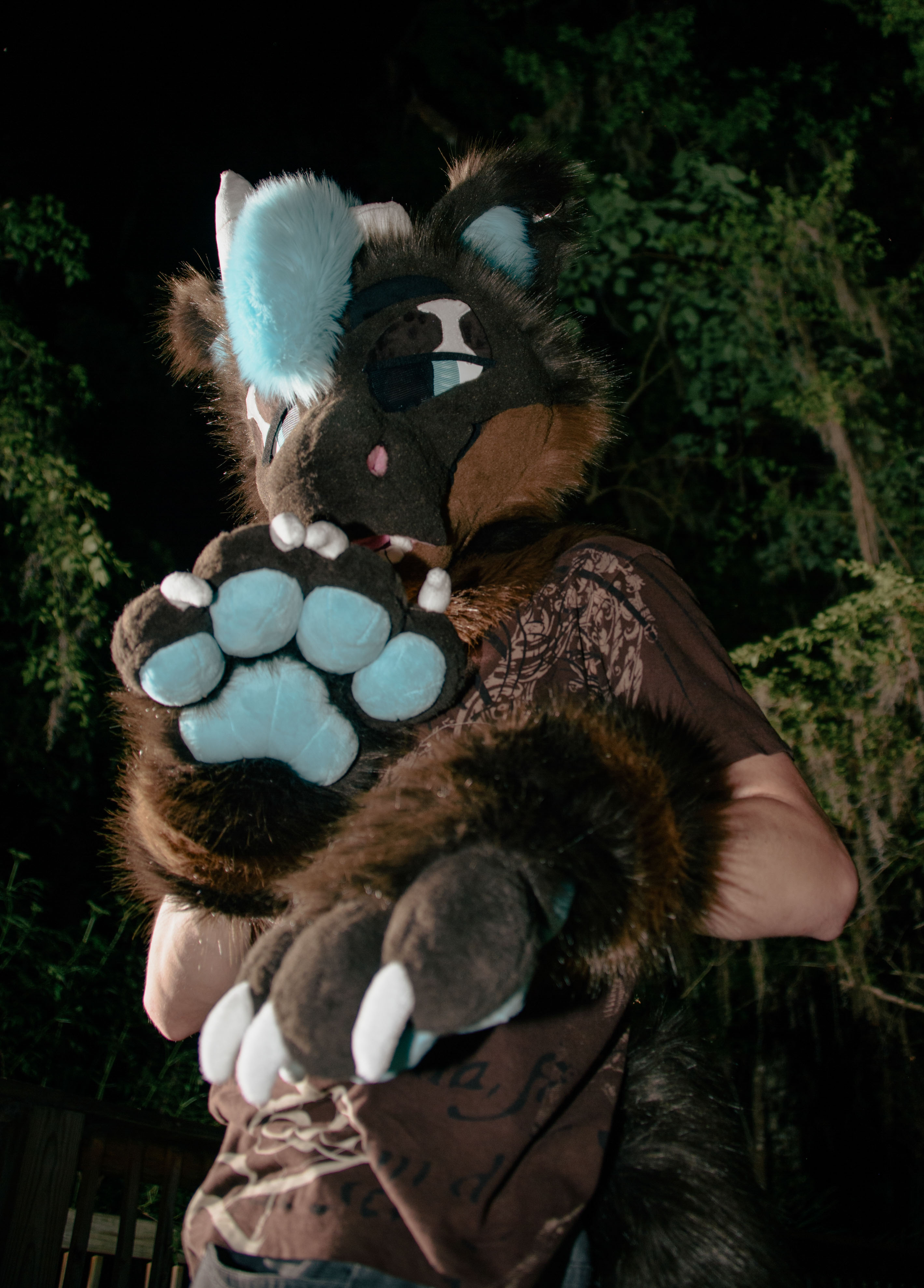 A person in a brown amd blue fursuit, looking down at the camera, with both paws in the air. The background is otherwise dark with some foliage.
